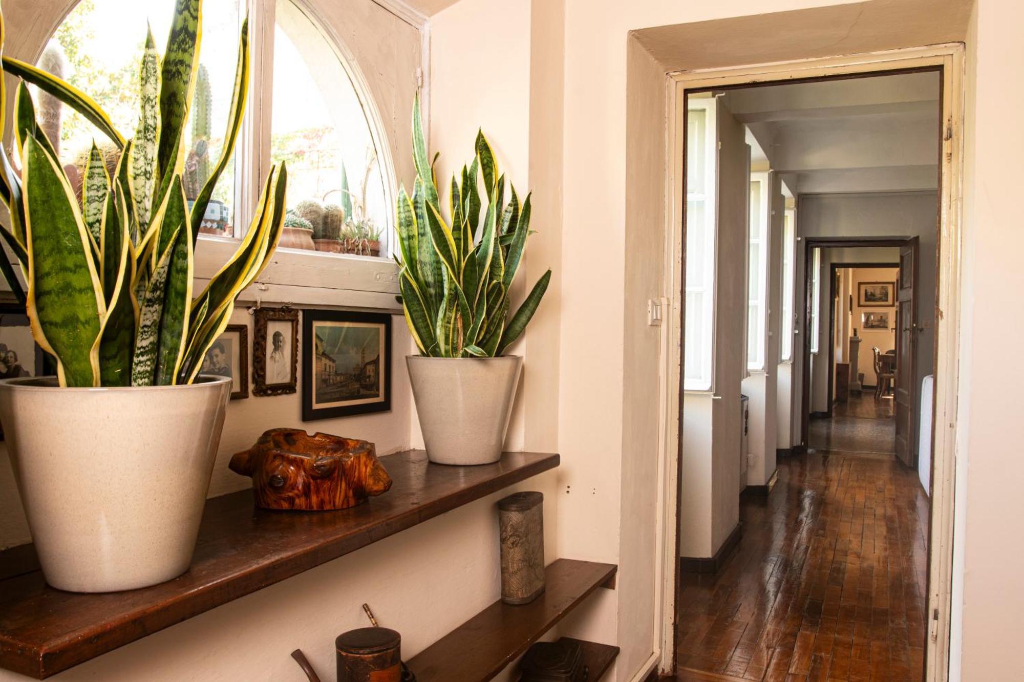 Apartament Palazzo Micheletti Lukka Zewnętrze zdjęcie